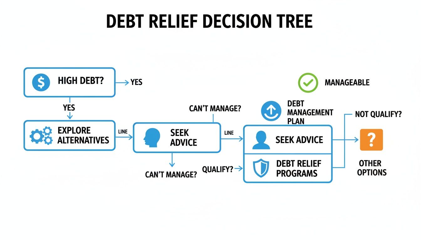 A flowchart outlining a debt relief decision tree, guiding individuals through various debt management options.
