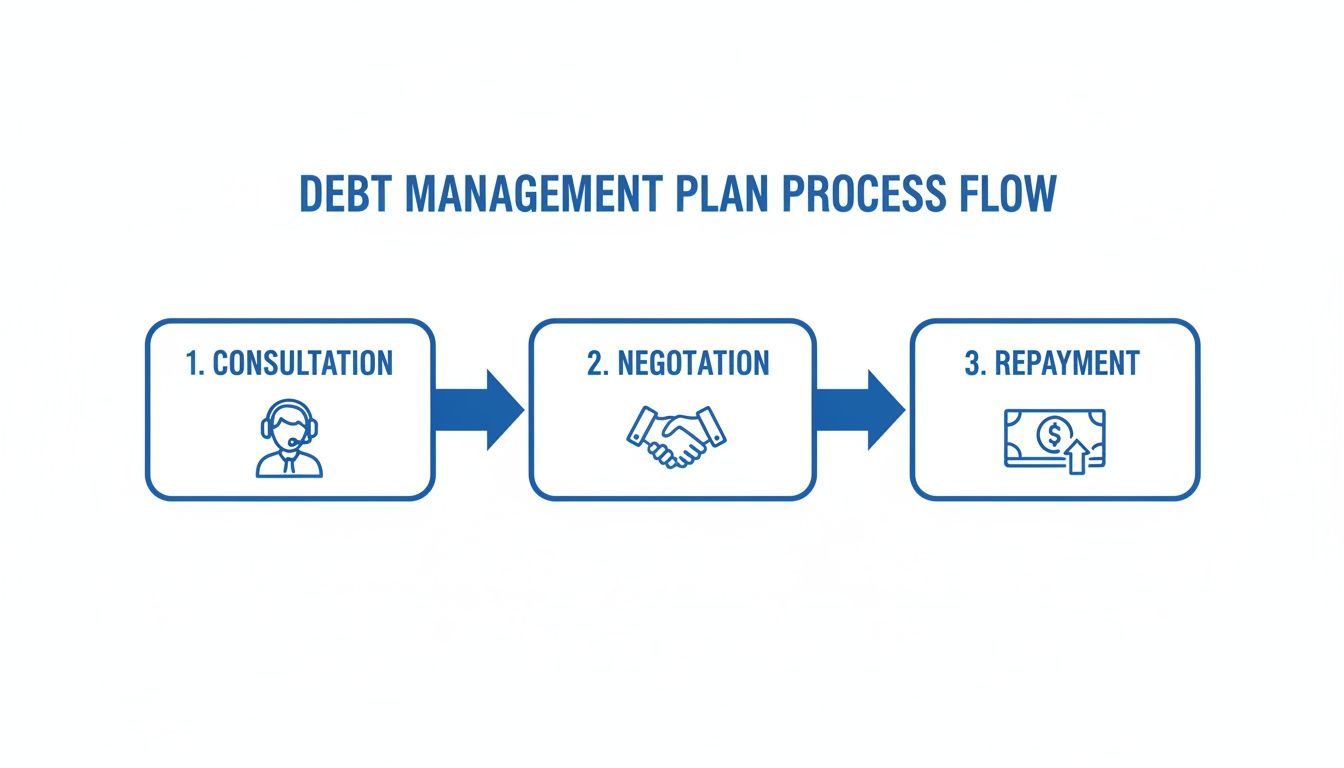 A flow chart illustrating the debt management plan process with steps: consultation, negotiation, and repayment.