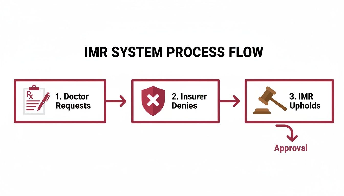 Flowchart illustrating the IMR system process: doctor requests, insurer denies, and IMR upholds, resulting in approval.