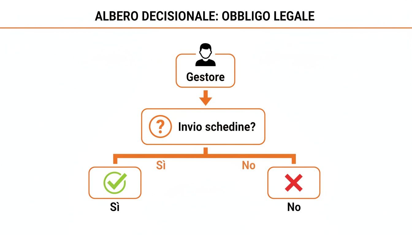 Albero decisionale: Obbligo legale. Il gestore decide se inviare le schedine, con esito sì o no.