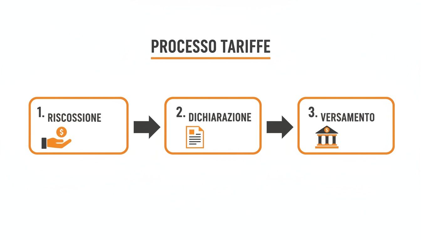 Infografica chiara sul processo delle tariffe in tre fasi: riscossione, dichiarazione e versamento.