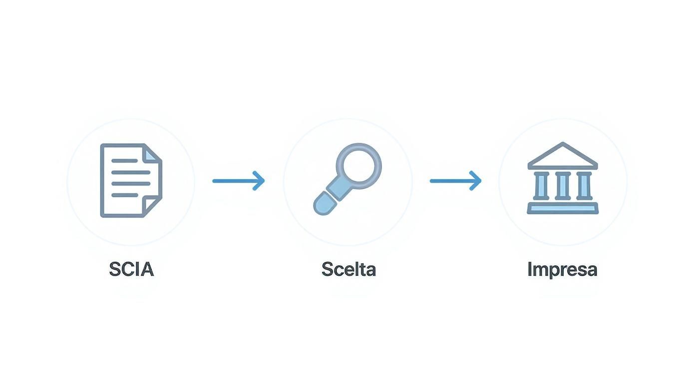 Schema di processo per l'apertura di un'impresa, che mostra i passaggi da SCIA, alla scelta, fino all'impresa.
