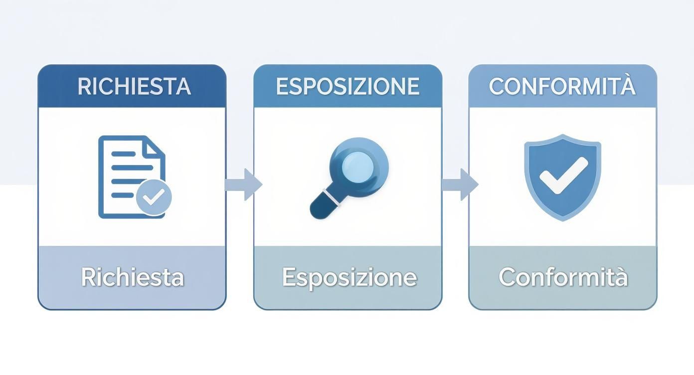 Infographic about affitti brevi nuove regole 2024