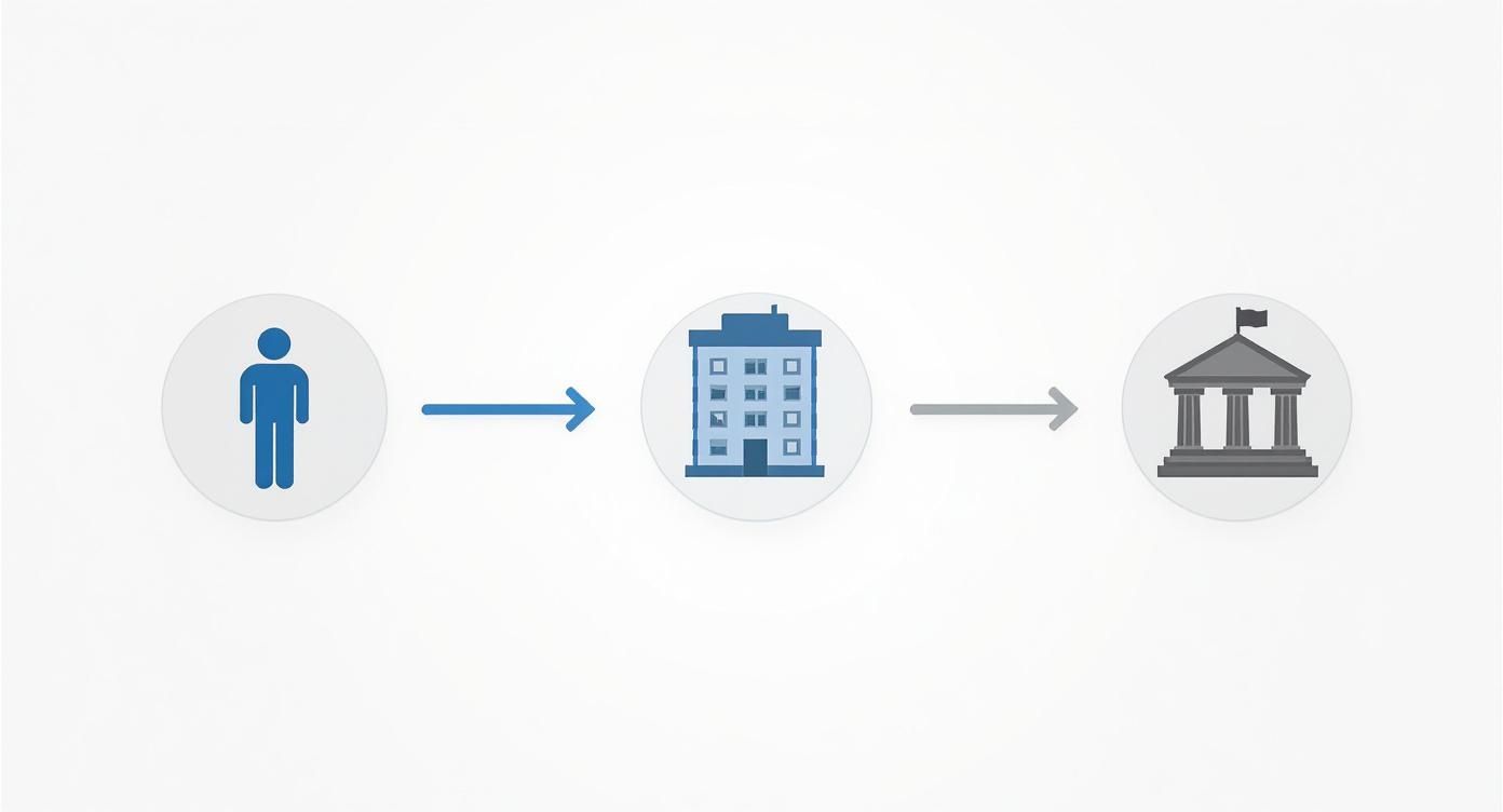 Infographic about tassa soggiorno firenze 2024