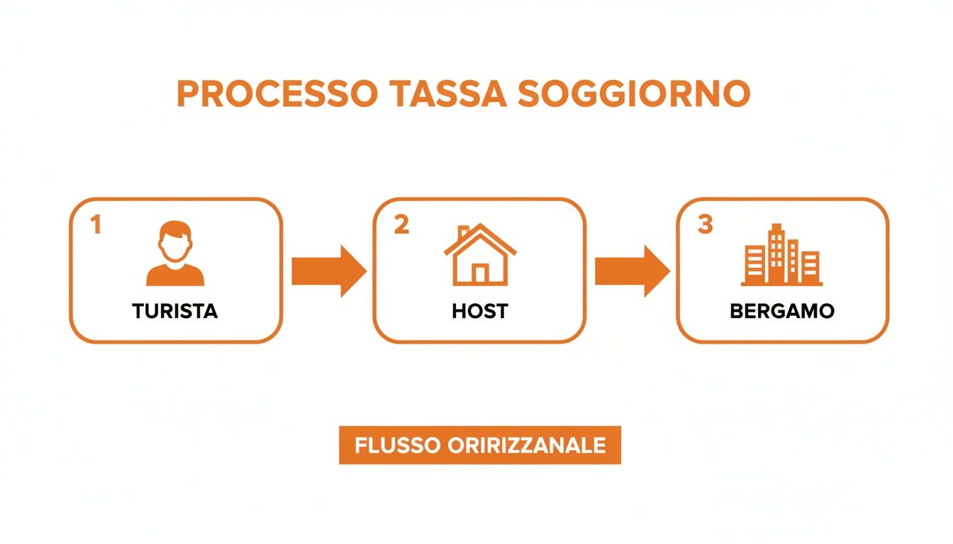 Diagramma esplicativo del processo della tassa di soggiorno a Bergamo, che mostra il flusso dal turista all'host e infine al comune.