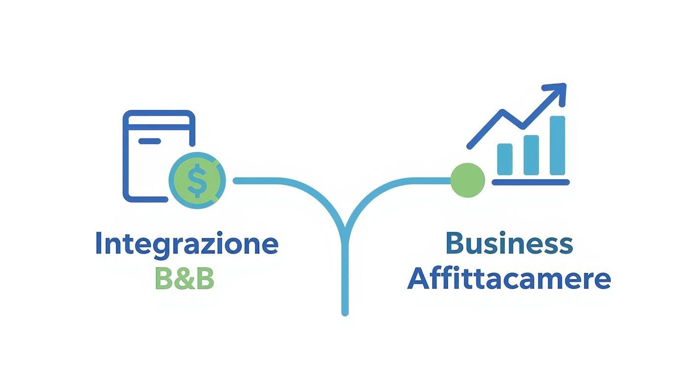 Infografica che mostra un albero decisionale su guadagno B&B vs Affittacamere. A sinistra un salvadanaio per "Integrazione" porta a B&B. A destra un grafico in crescita per "Business" porta ad Affittacamere.