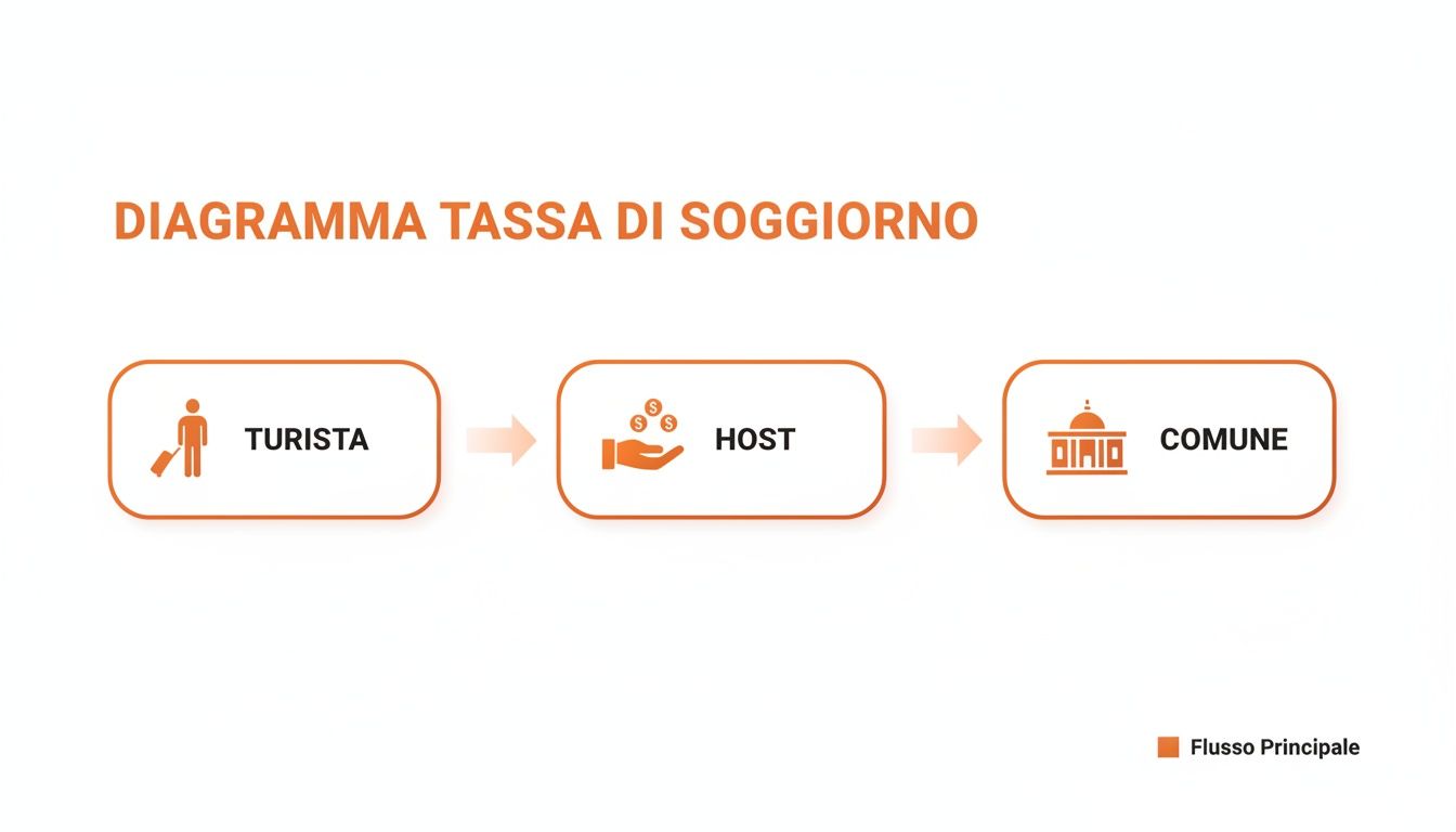 Diagramma che illustra il flusso della tassa di soggiorno dal turista all'host e infine al comune.