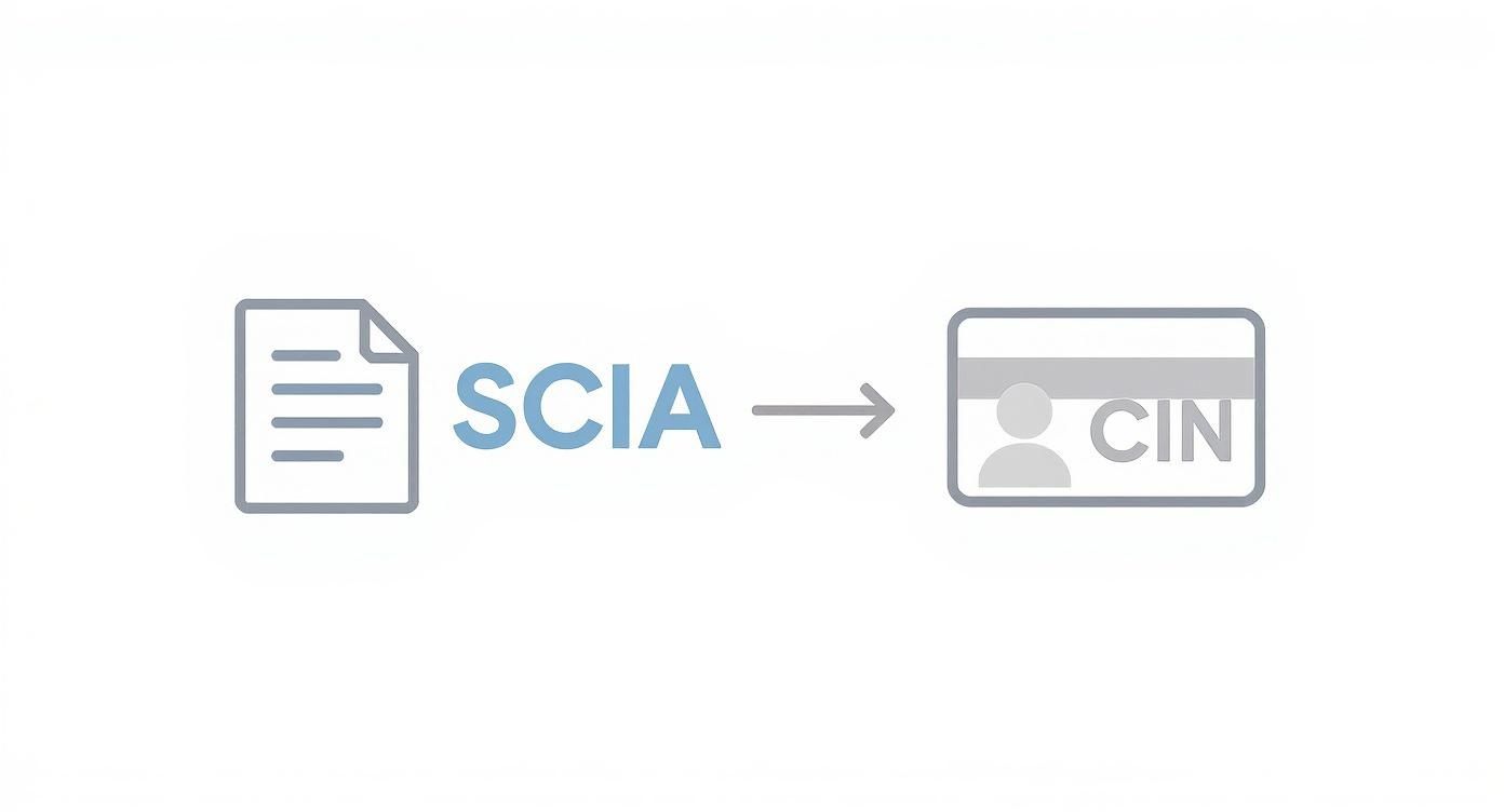 Rappresentazione di un documento SCIA che si converte in una tessera CIN, indicando un processo di identificazione.