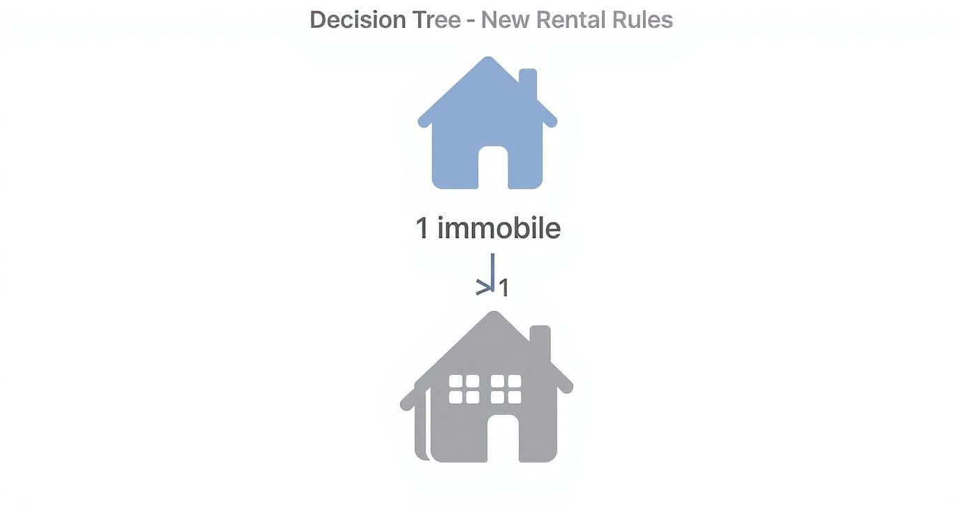 Infografica che illustra le nuove regole sugli affitti brevi attraverso un albero decisionale