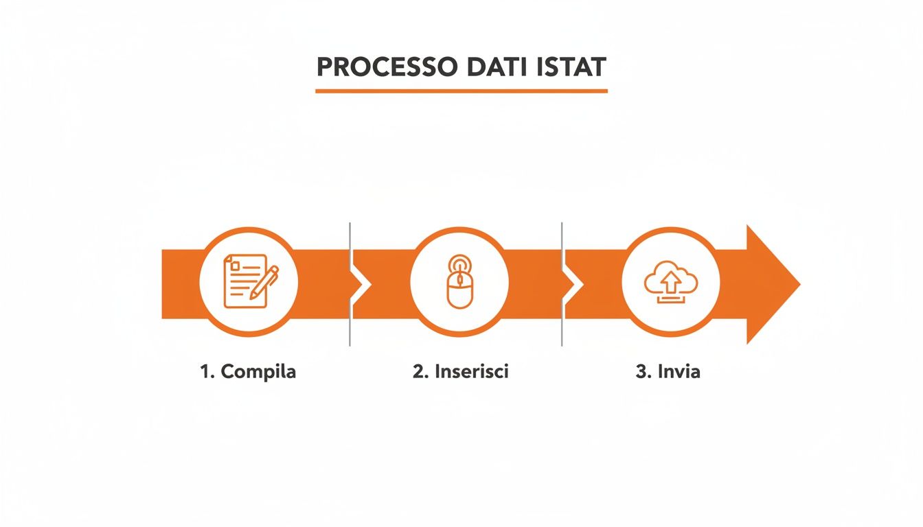 Illustrazione del processo dati ISTAT in tre passaggi: compilazione, inserimento e invio, rappresentato da freccia con icone.