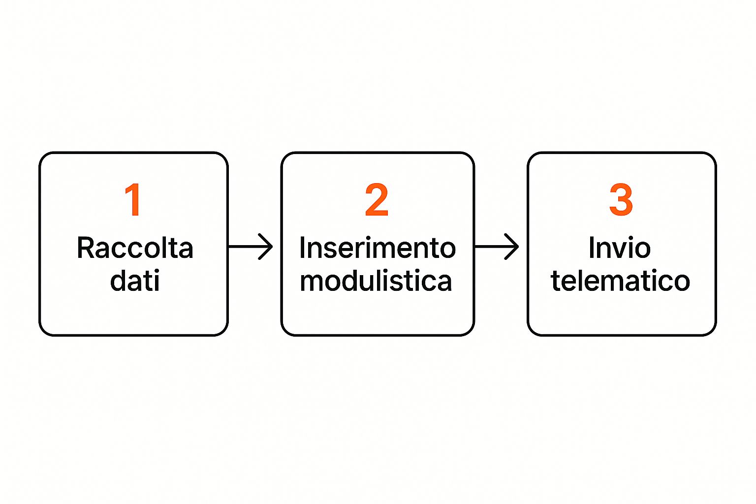 Infografico che mostra il processo in tre fasi: Raccolta dati, Inserimento modulistica, e Invio telematico.