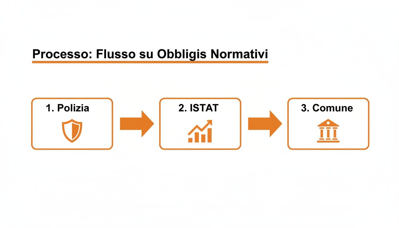 Diagramma di flusso che illustra il processo di adempimento degli obblighi normativi tra Polizia, ISTAT e Comune.