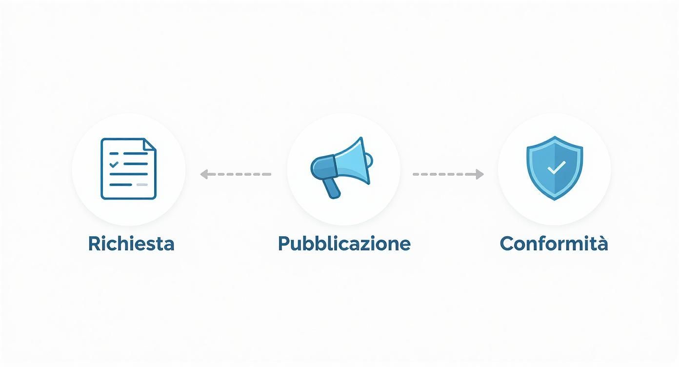 Infographic about cir affitto breve