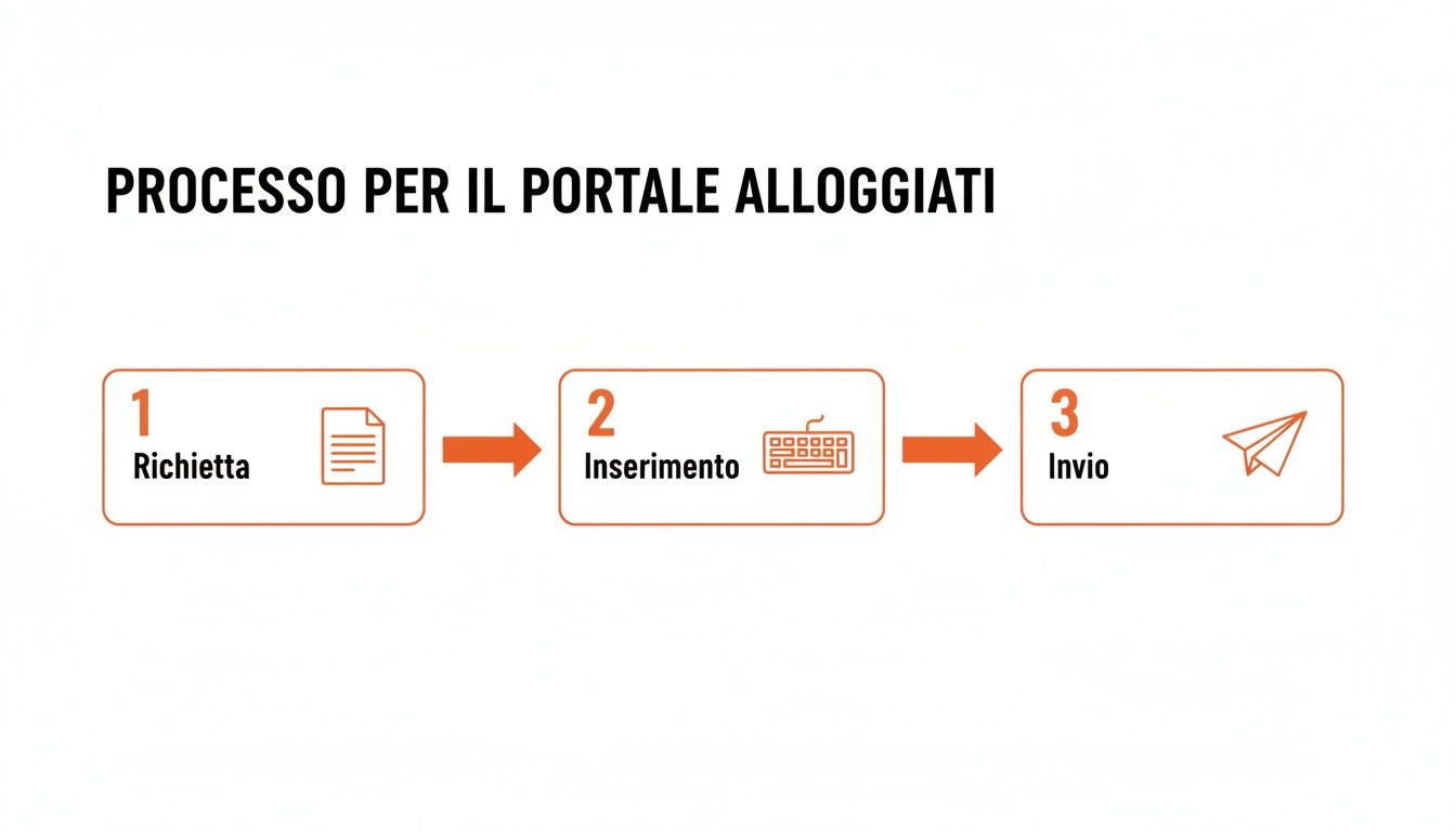 Infografica chiara che illustra il processo in tre fasi per il portale alloggiati: richiesta, inserimento e invio.