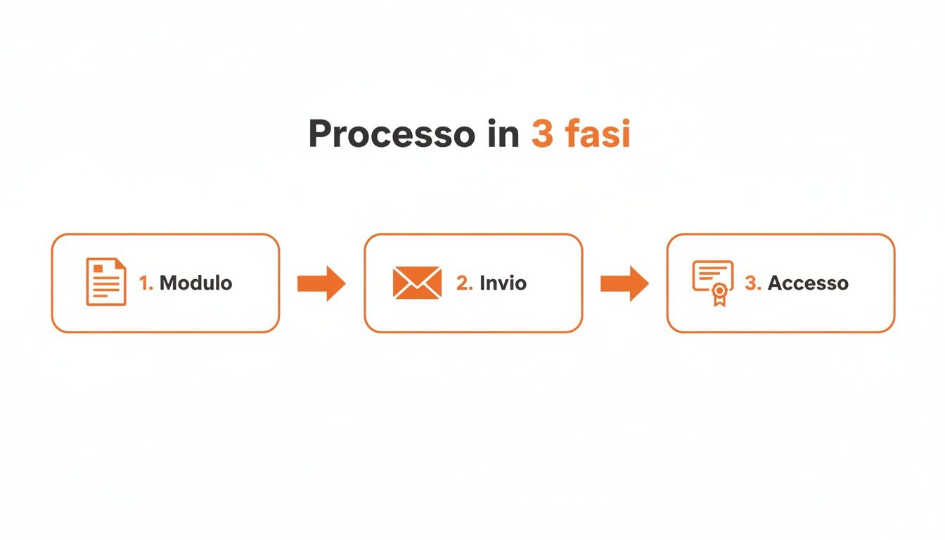 Un diagramma di flusso che illustra un processo in tre fasi: Modulo, Invio e Accesso.