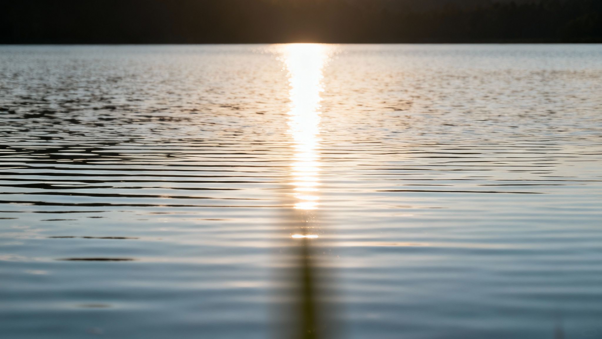Sunlight glistens brightly on the gently rippling surface of a lake at sunset.