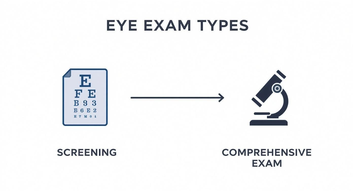 Infographic showing the progression from a basic vision screening to a detailed comprehensive eye exam