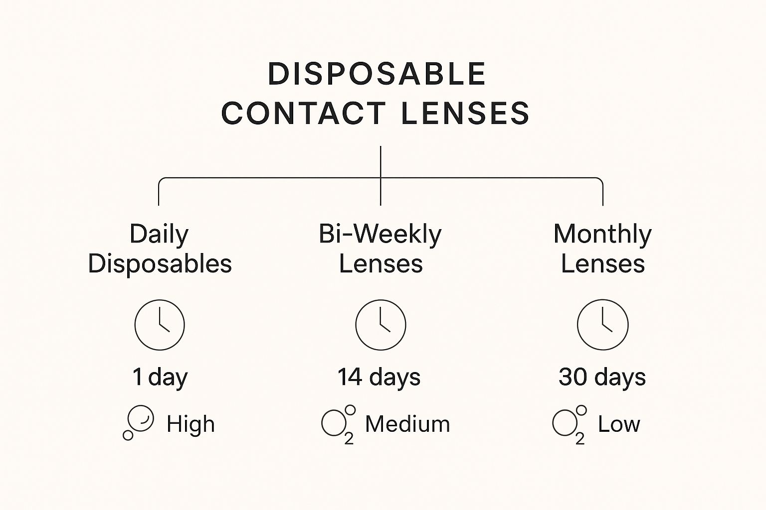 Infographic about disposable contact lenses