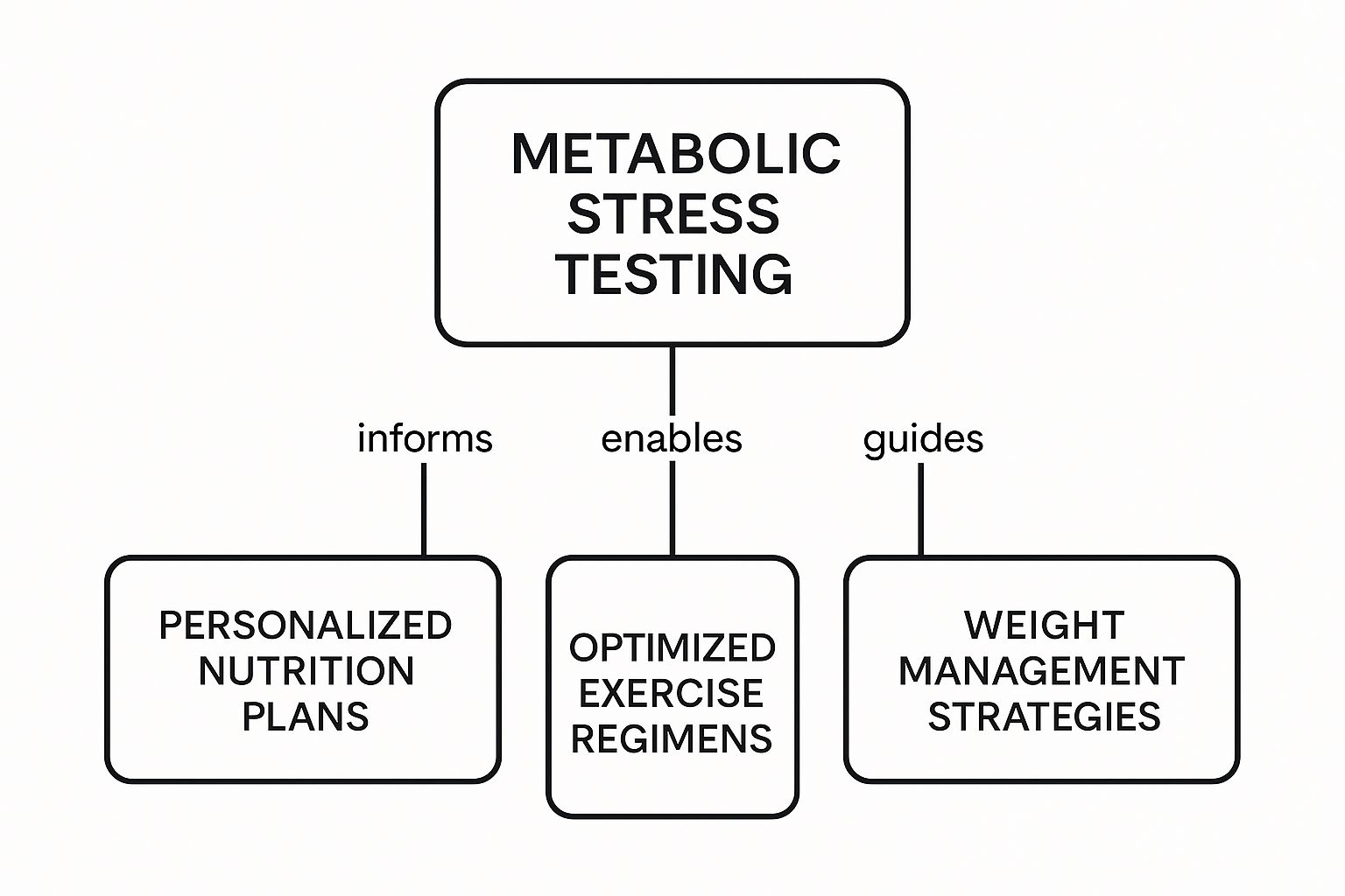 Your Guide to Metabolic Stress Testing | Cartwright Fitness