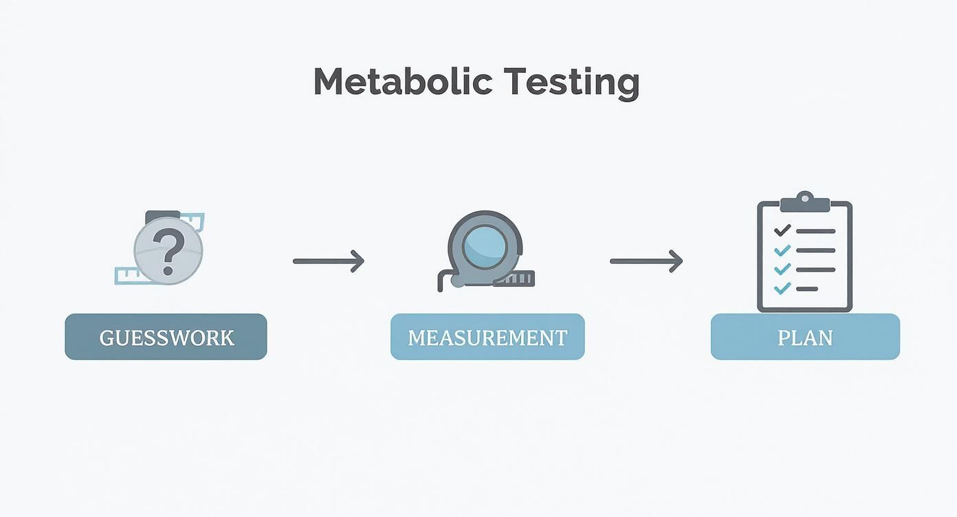 Infographic about metabolic testing for weight loss