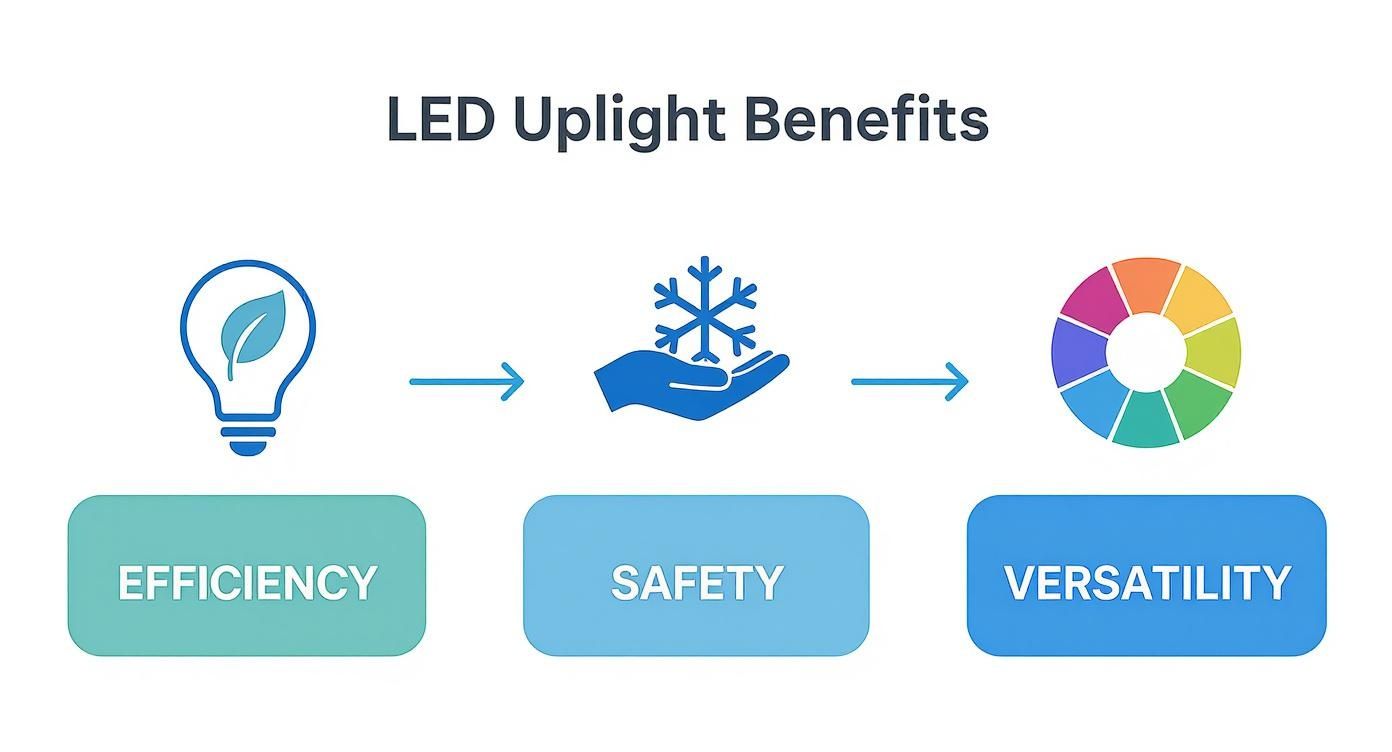 Infographic about led uplights for events