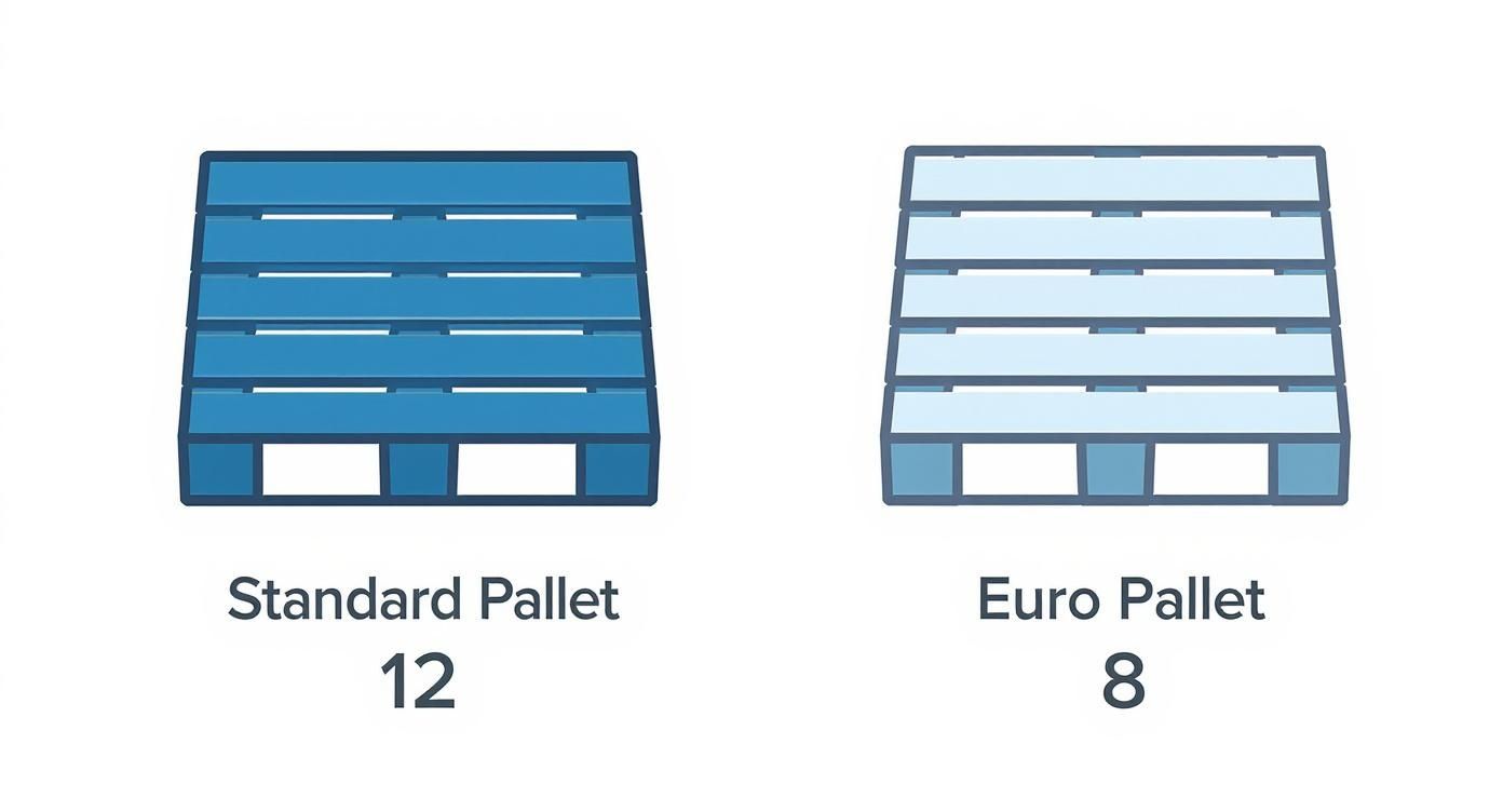 Infographic about dimension of 20 ft container