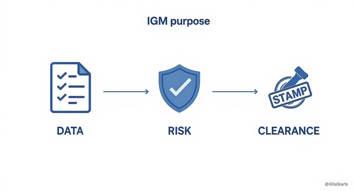 Infographic about import general manifest