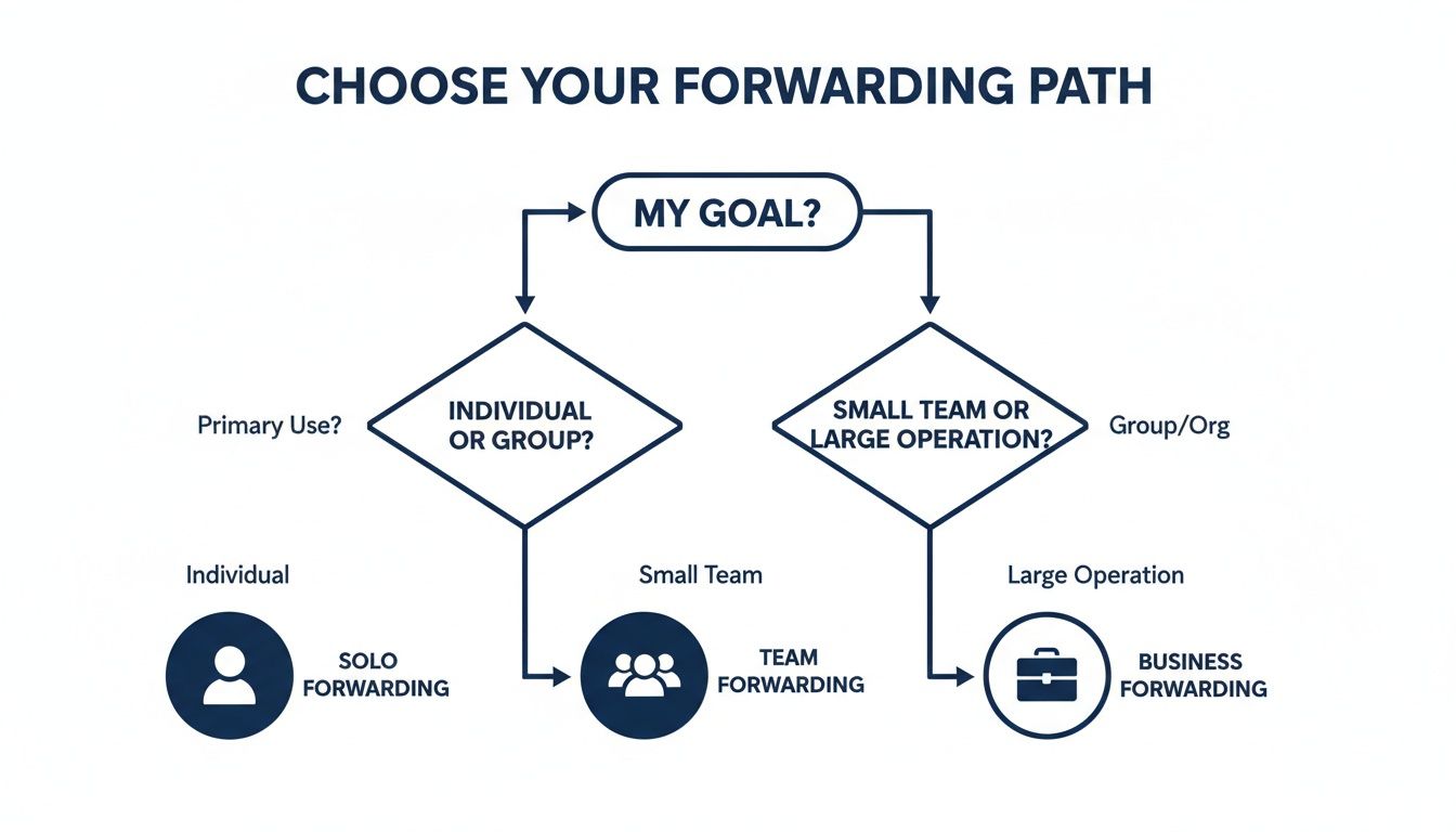 A flowchart titled 'Choose Your Forwarding Path' outlining options for solo, team, or business forwarding based on user goals.