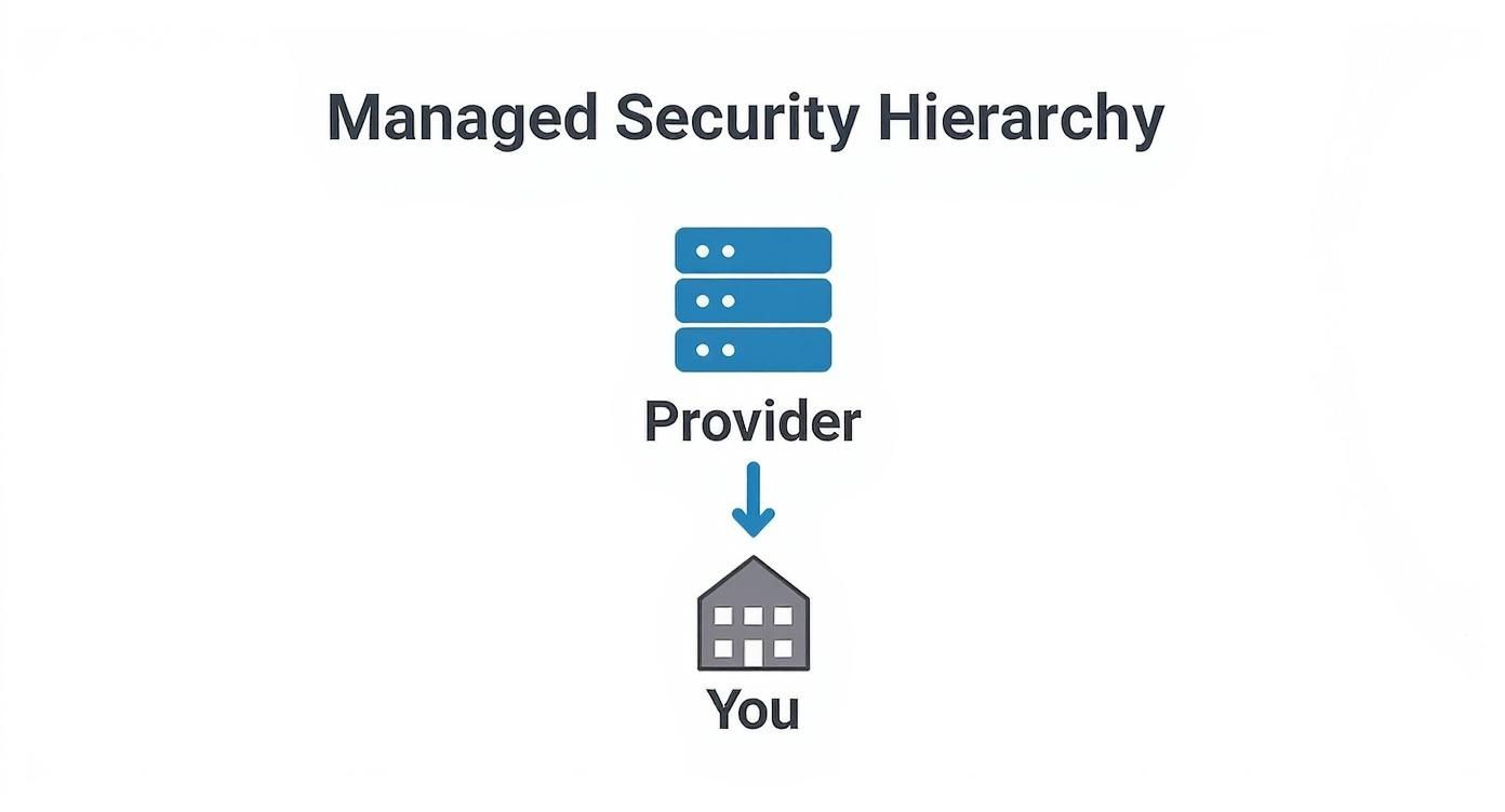 Diagram illustrates a managed security hierarchy with a provider (servers) offering services to you (house).