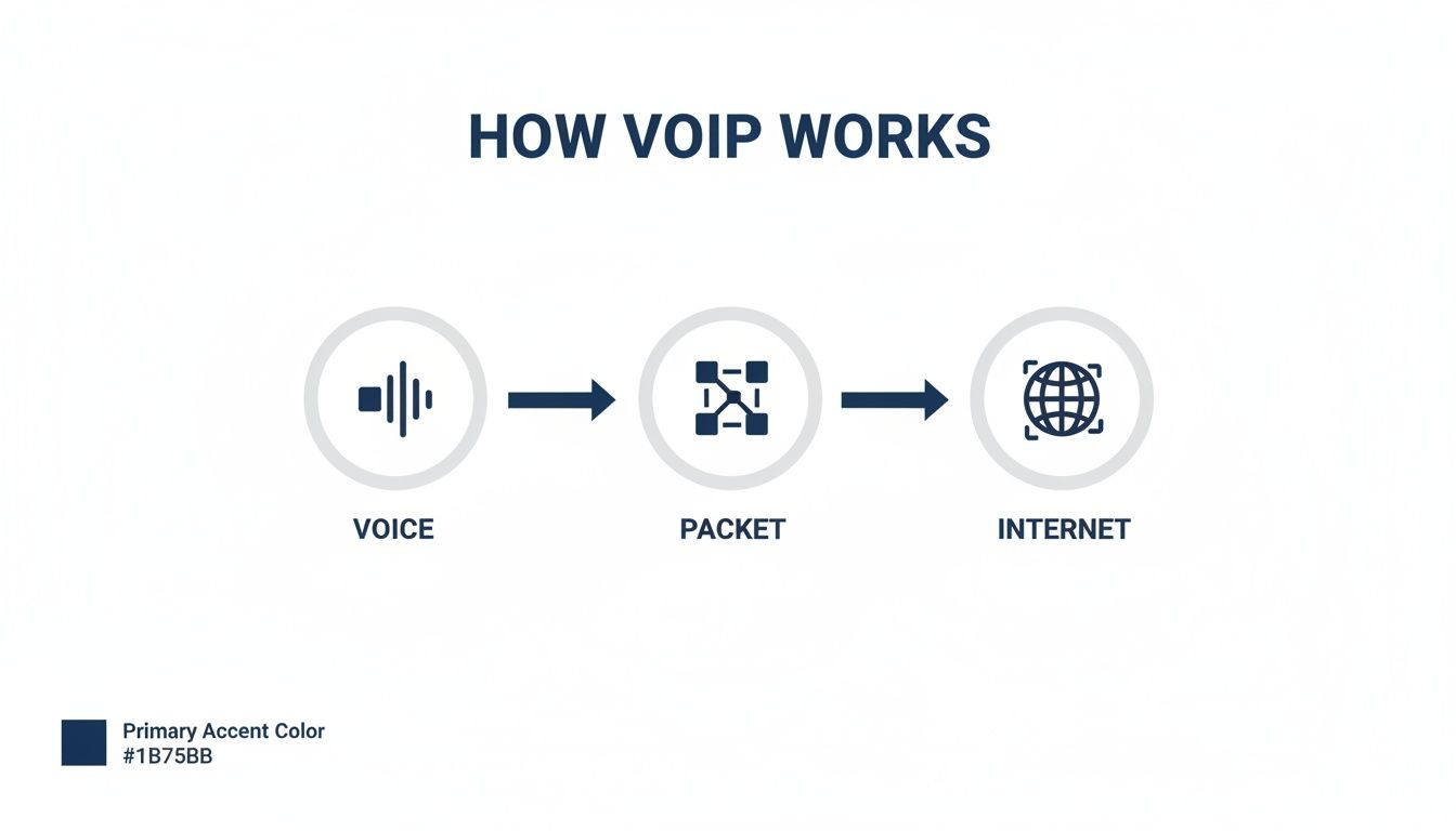 An infographic illustrating how VoIP works, showing voice converted to data packets for internet transmission.