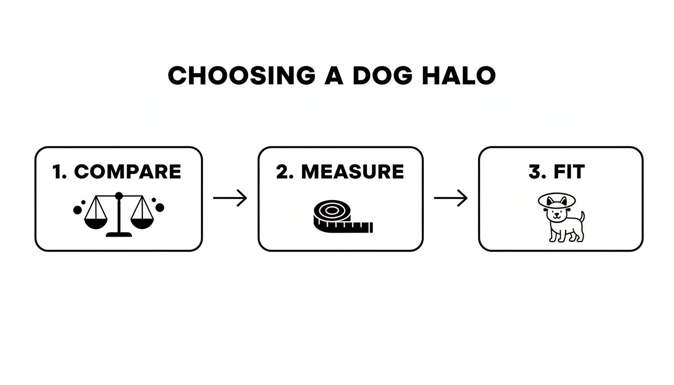 Diagram illustrating three steps for choosing a dog halo: compare, measure, and fit.