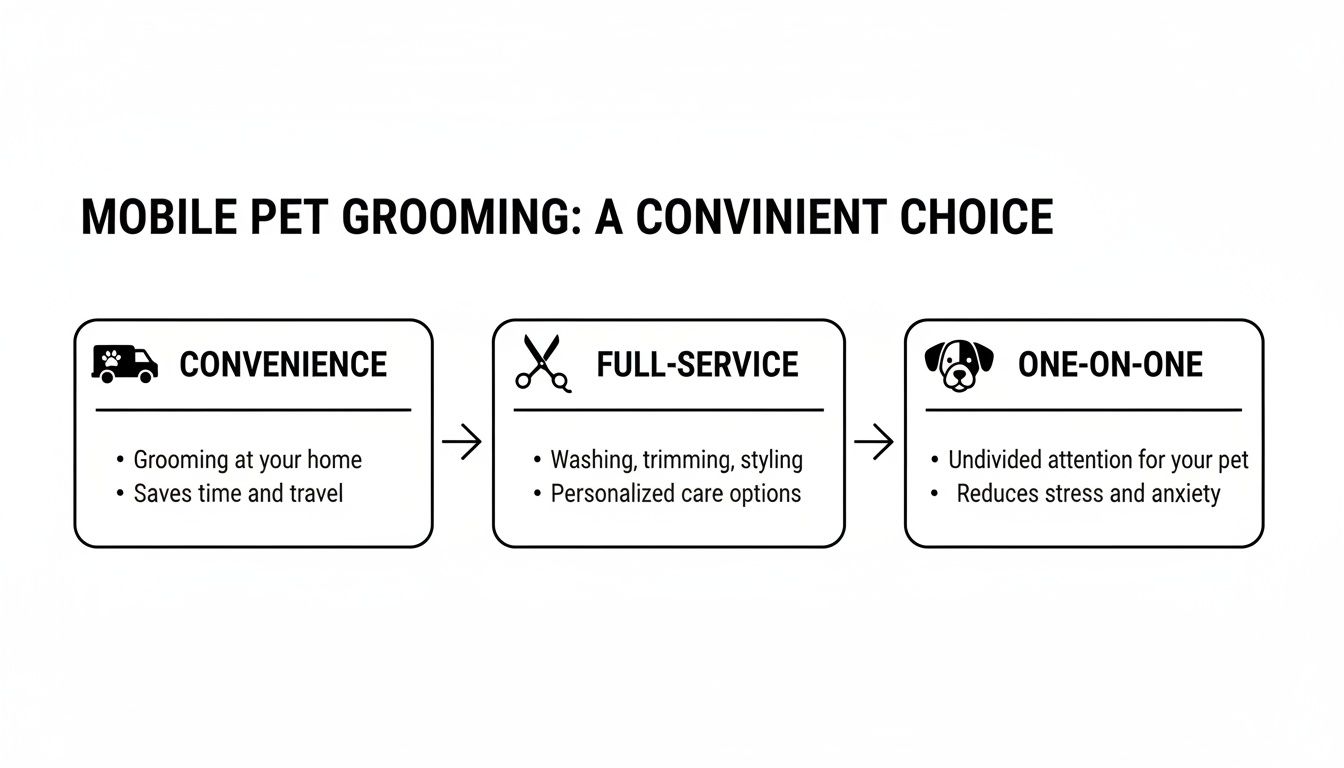 Infographic detailing the benefits of mobile pet grooming, including convenience, full-service care, and one-on-one attention.