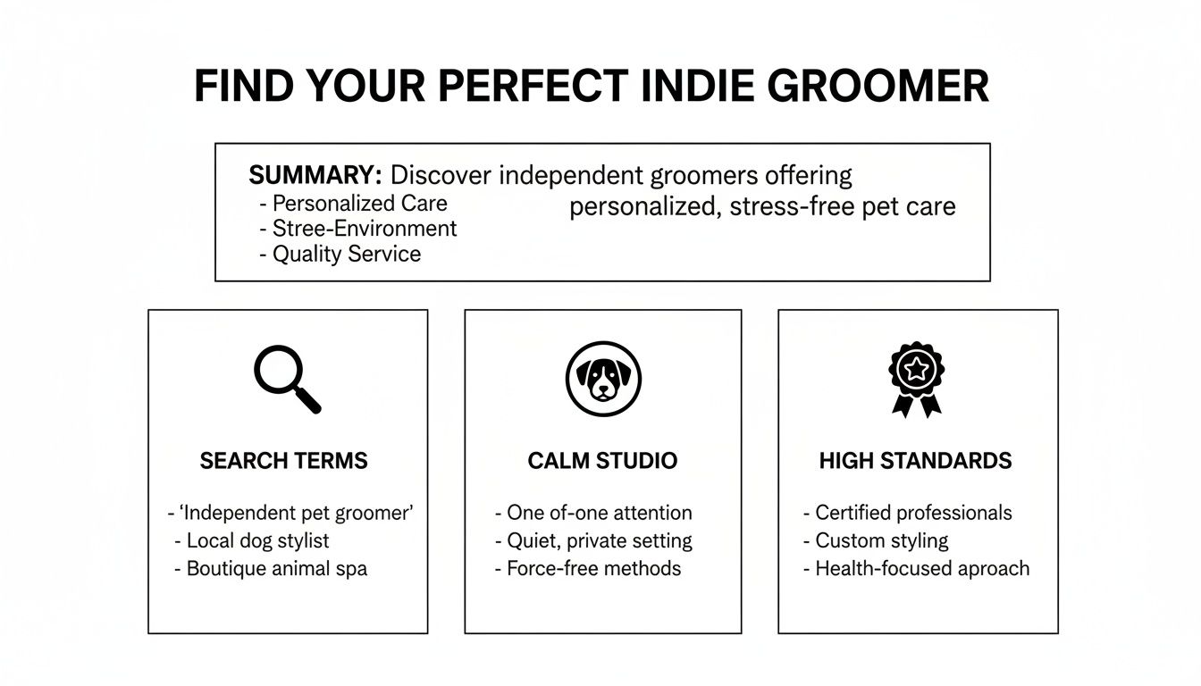 Infographic on finding the perfect indie groomer, detailing search terms, calm studio features, and high standards.