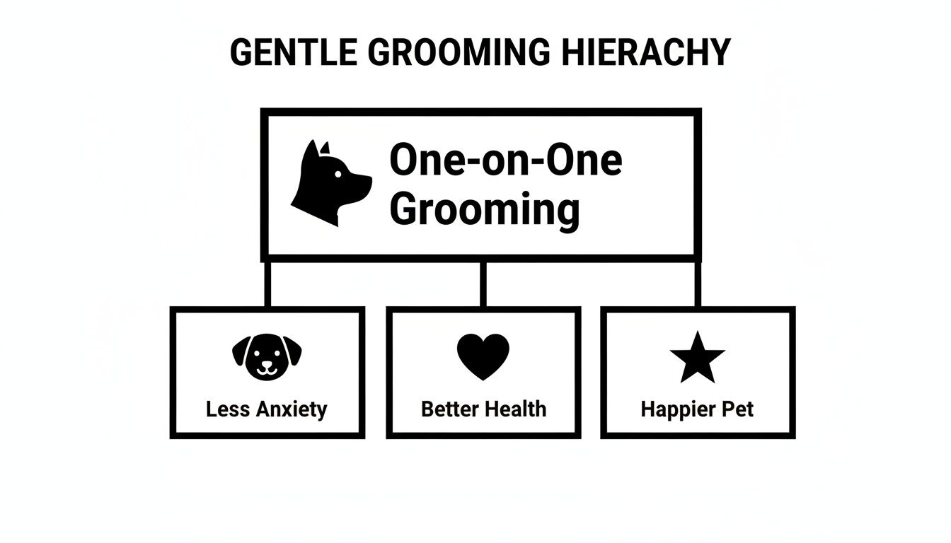 A gentle grooming hierarchy diagram showing one-on-one grooming leads to less anxiety, better health, and a happier pet.