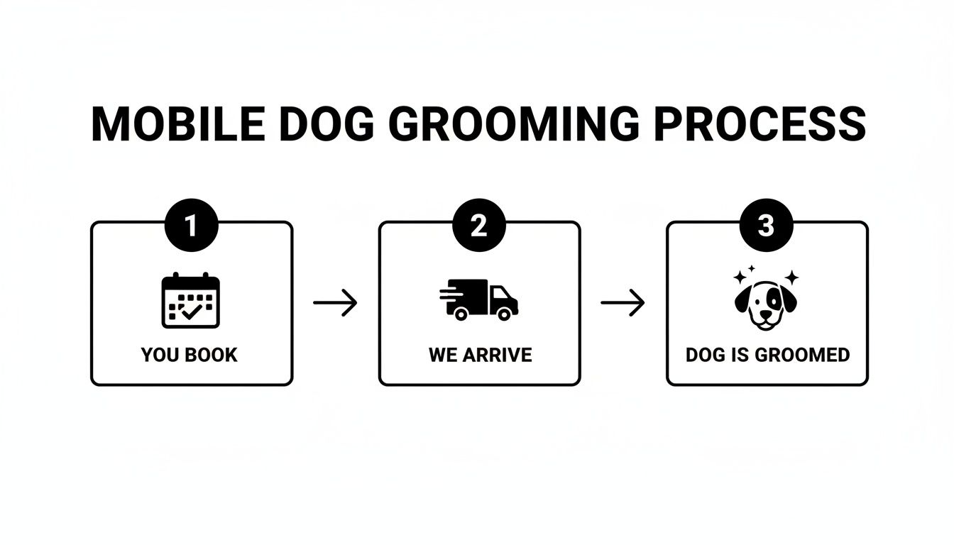 Infographic detailing the three-step mobile dog grooming process, from booking to completion.