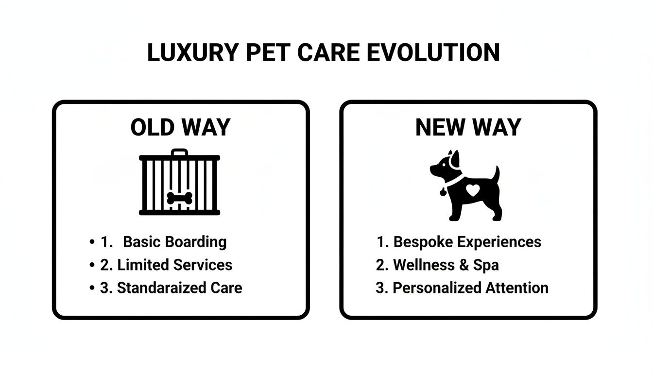 Infographic comparing old (crate, basic care) versus new (stylized dog, bespoke, wellness, personalized) luxury pet care.