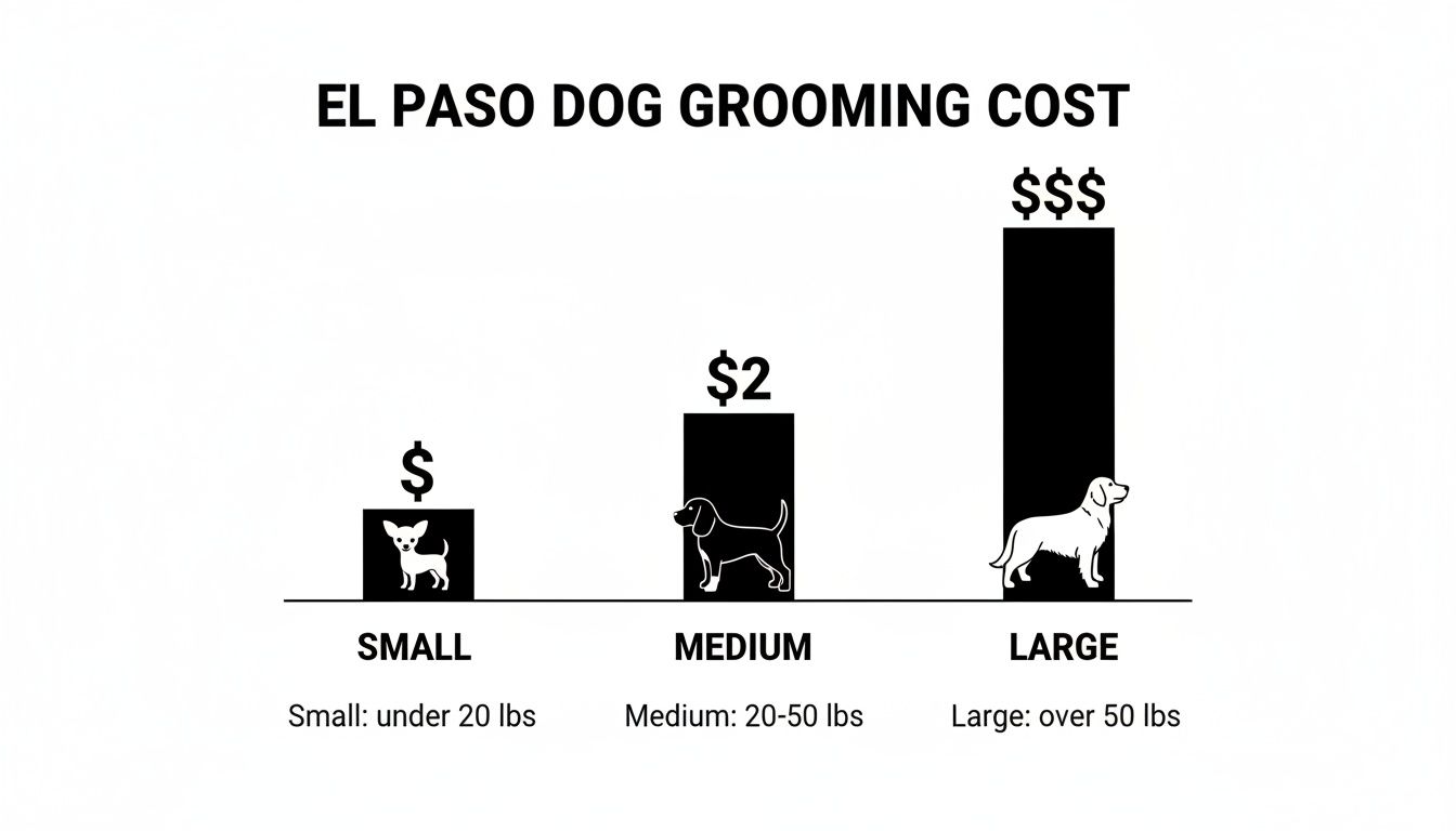 Bar chart showing El Paso dog grooming costs, with prices indicated by dollar signs for small, medium, and large dog sizes.