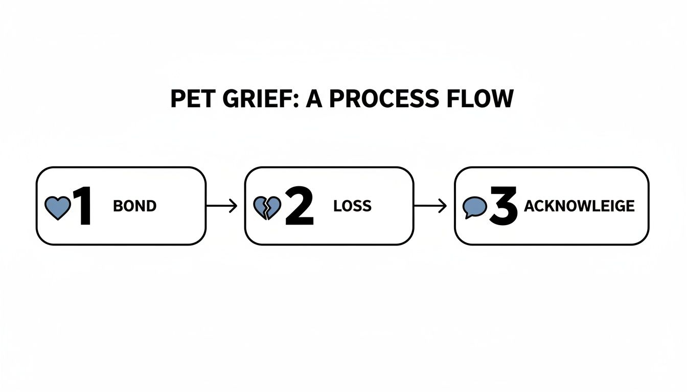 A process flow diagram illustrating the pet grief process: bond, loss, and acknowledge.