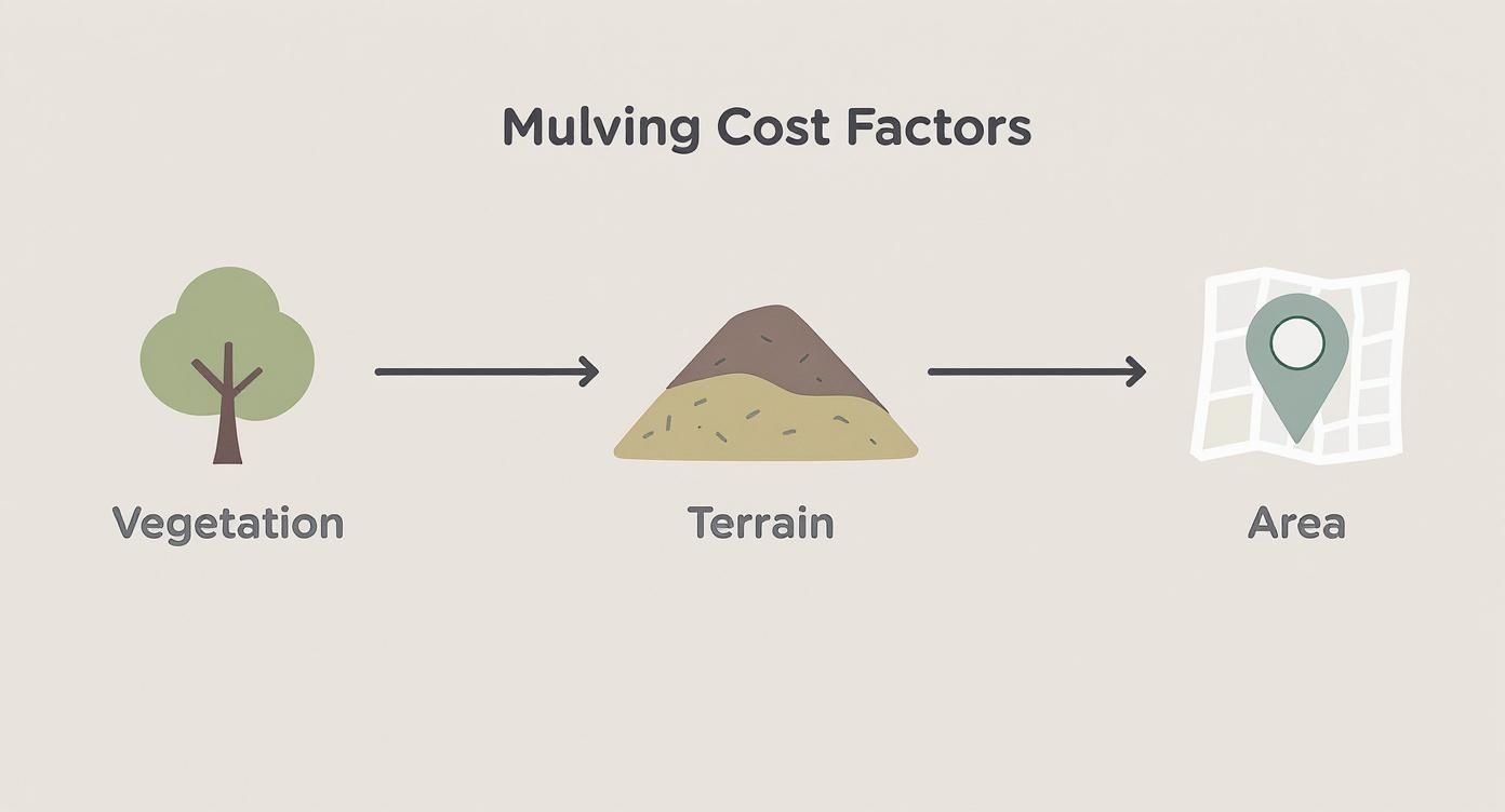 An infographic decision tree showing how vegetation, terrain, and area size affect forestry mulching projects.