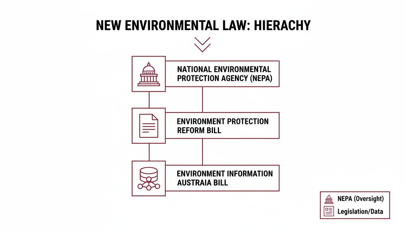 Flowchart detailing the hierarchy of a new environmental law, showing NEPA, Reform Bill, and Information Bill.