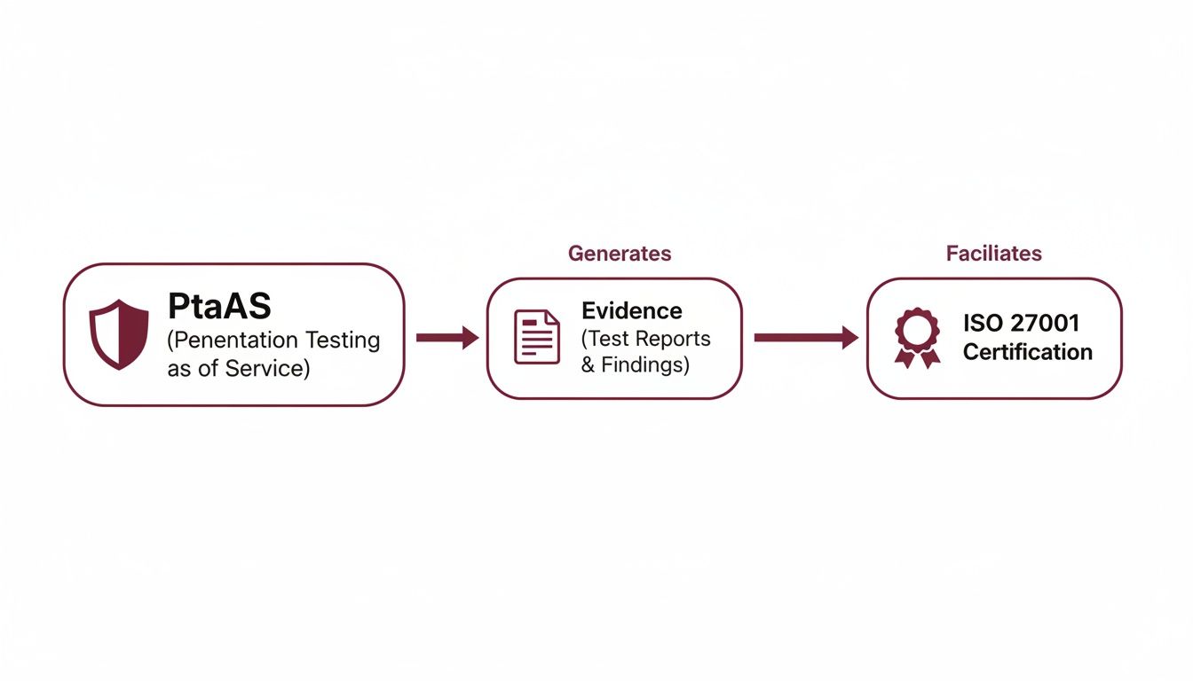 Flowchart illustrating PtaAS (Penetration Testing as a Service) generating evidence to facilitate ISO 27001 Certification.