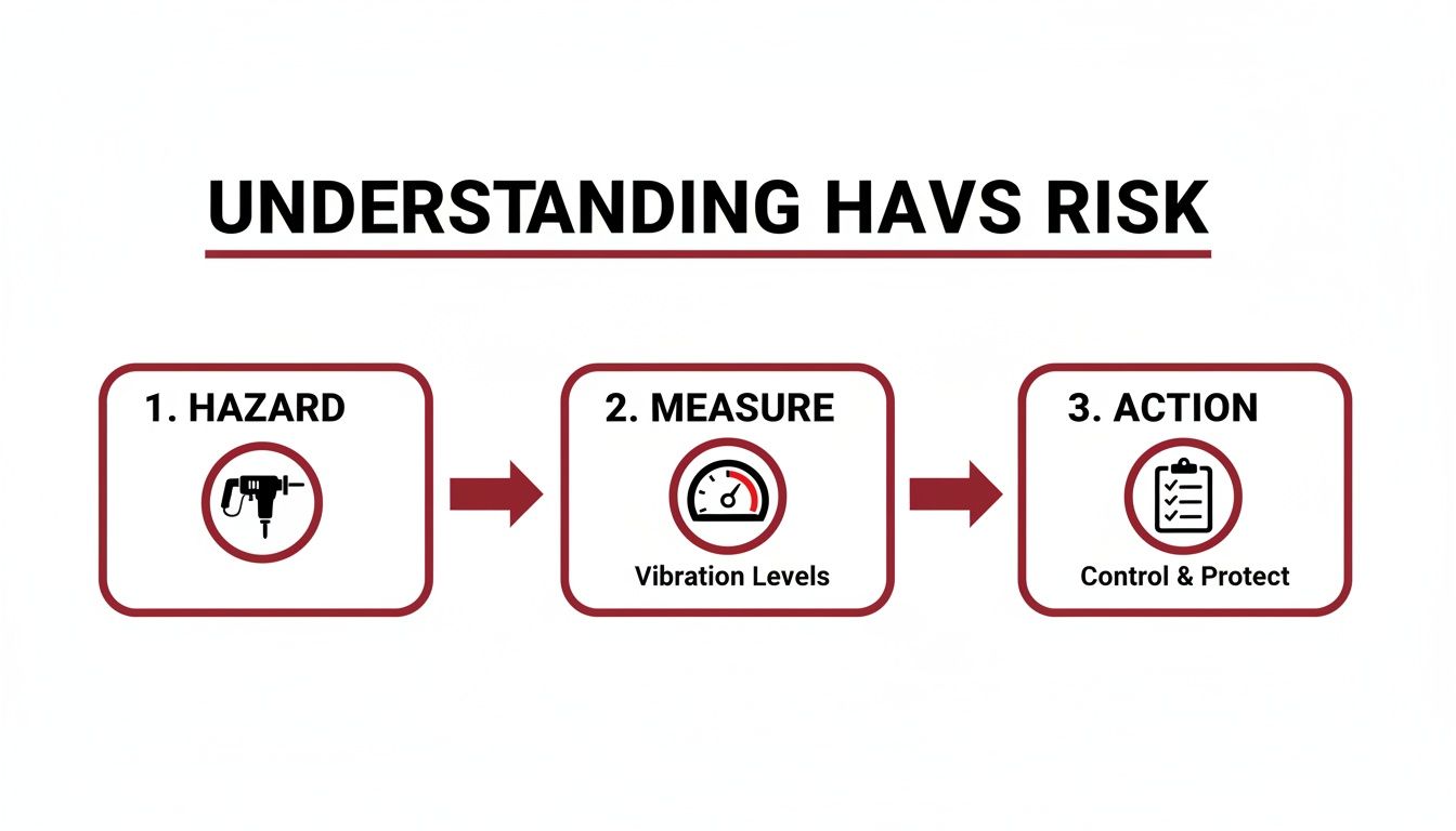 Flowchart illustrating the three steps to understand and manage Hand-Arm Vibration Syndrome (HAVS) risk.