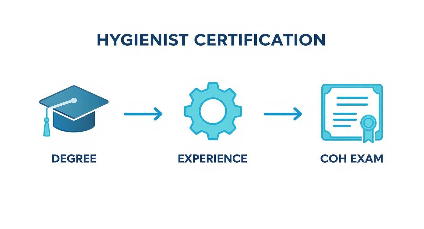 Infographic about occupational hygienist australia
