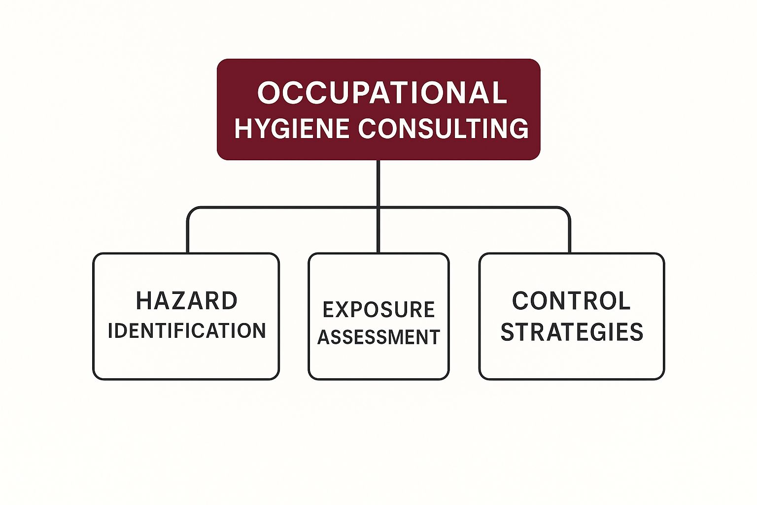 Infographic about occupational hygiene consulting