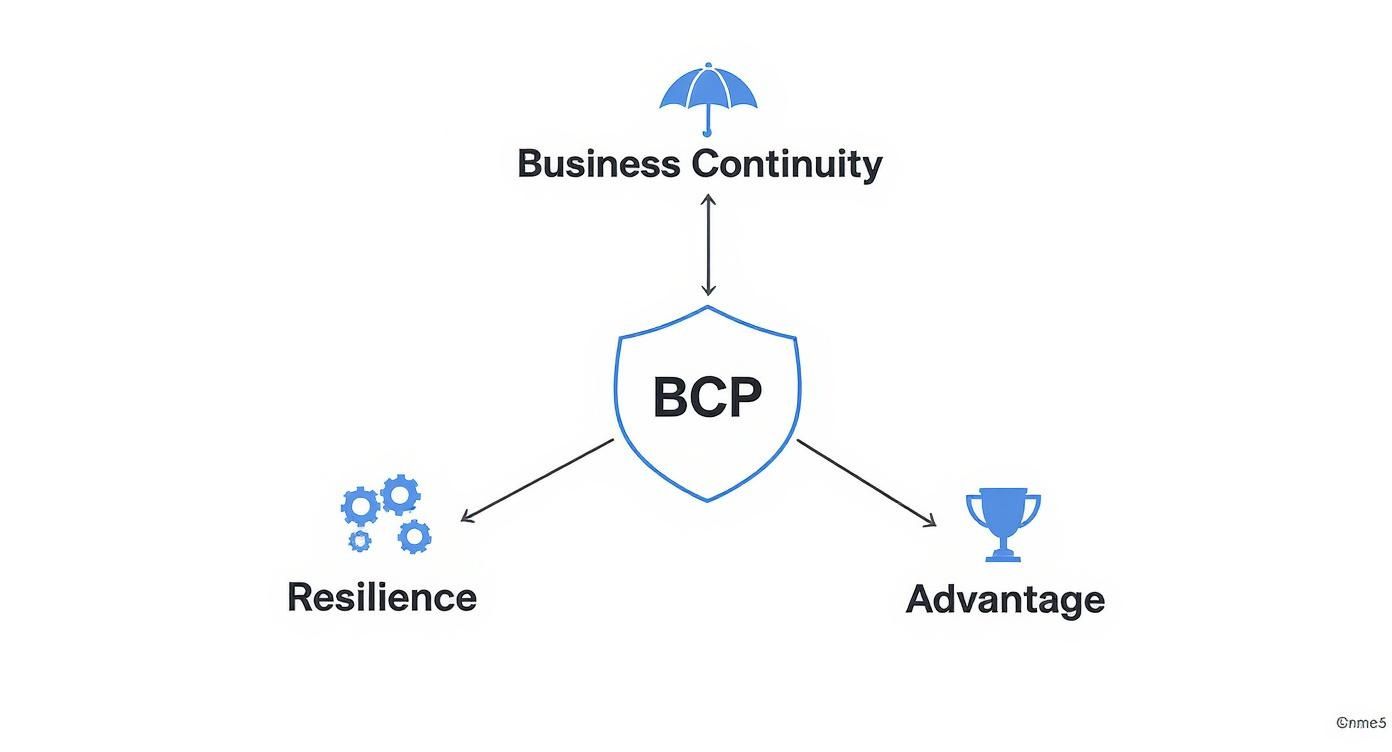 Diagram illustrating Business Continuity Planning (BCP) leading to Business Continuity, Resilience, and Advantage.