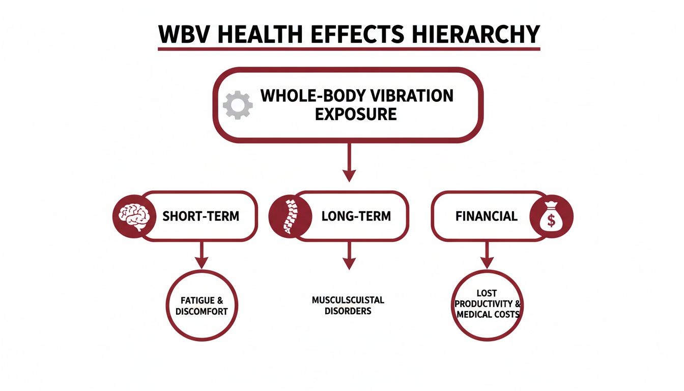 A hierarchy diagram illustrating short-term, long-term, and financial health effects of whole-body vibration exposure.