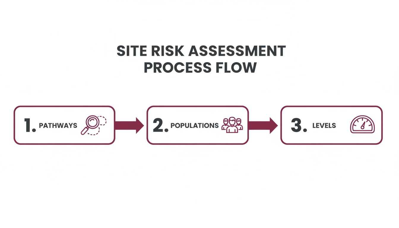 Process Contamination Risk Assessment Managing Long-Term Occupancy Safety for Low-Level Residual Meth ...