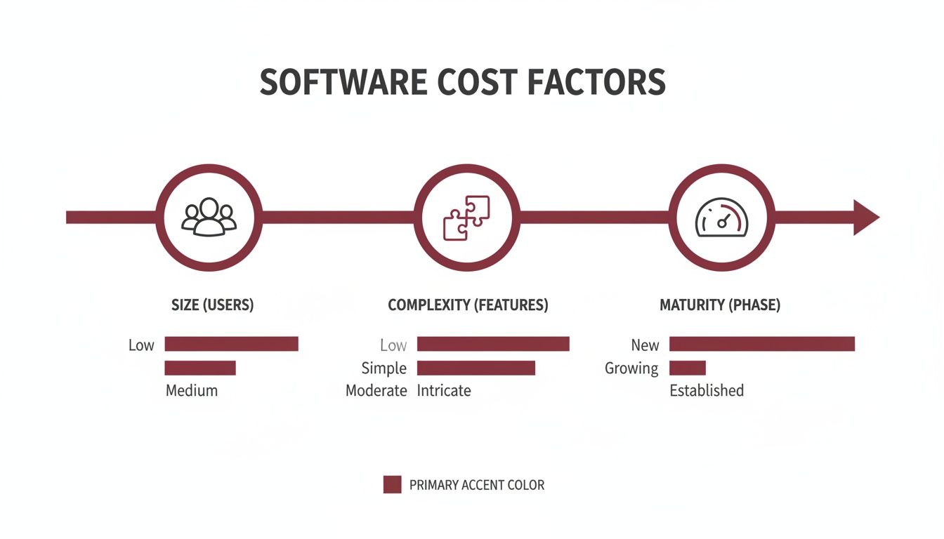 Software cost factors infographic illustrating user size, feature complexity, and project maturity levels.