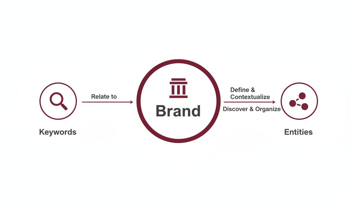 A diagram showing how keywords relate to a brand, which then defines and organizes entities.