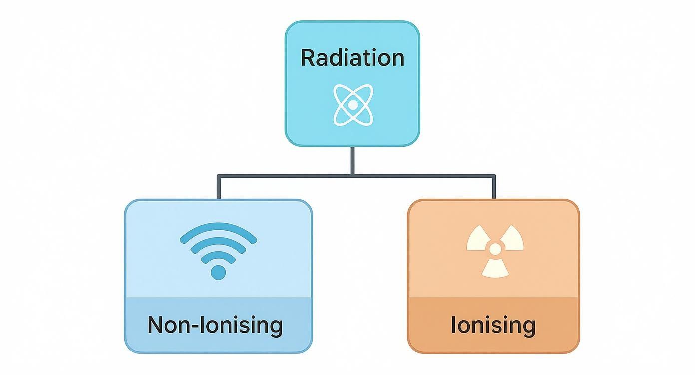 Diagram illustrating radiation types, categorised into non-ionising (Wi-Fi) and ionising (radioactive).